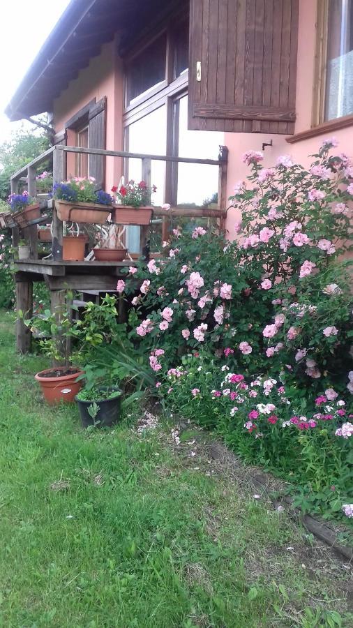 Il Pettirosso Di Giusvalla Buitenkant foto