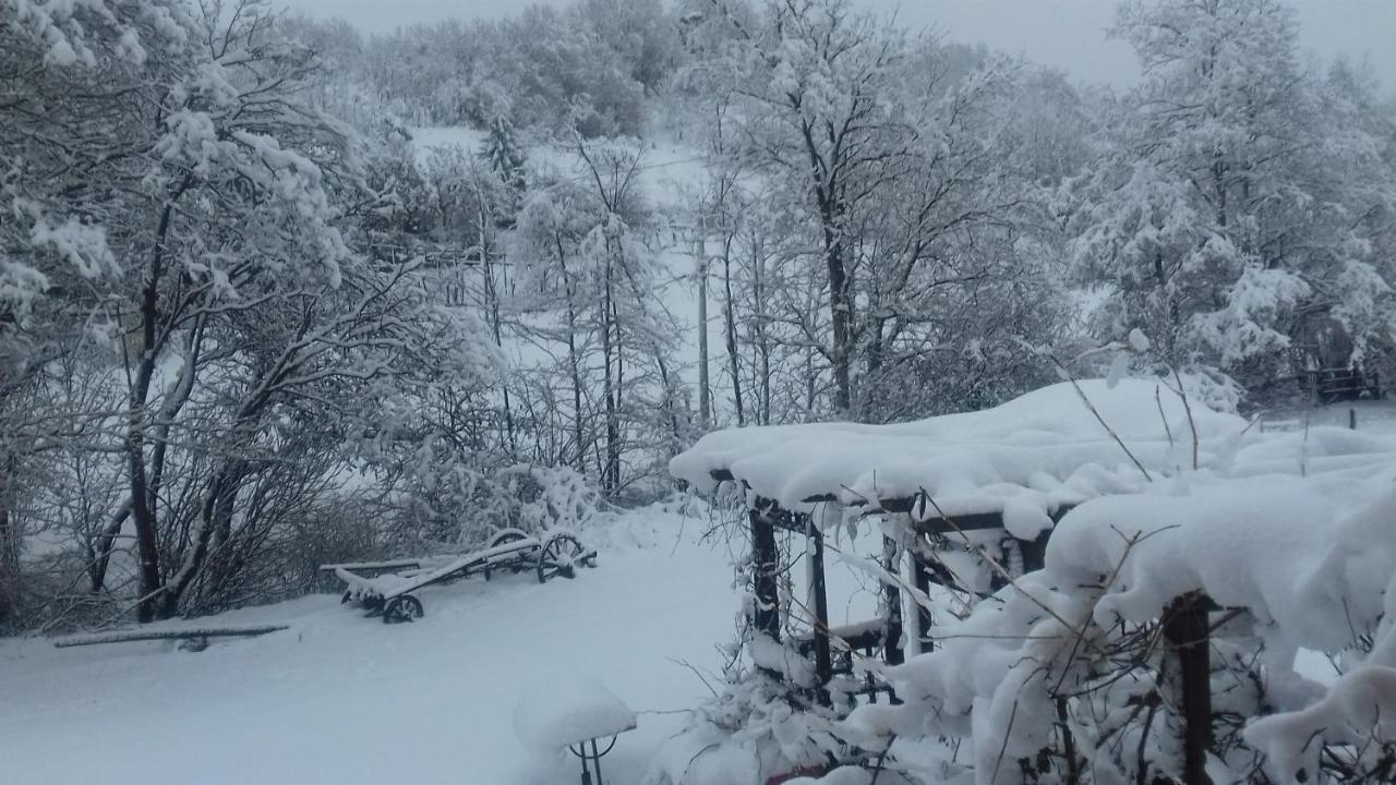 Il Pettirosso Di Giusvalla Buitenkant foto