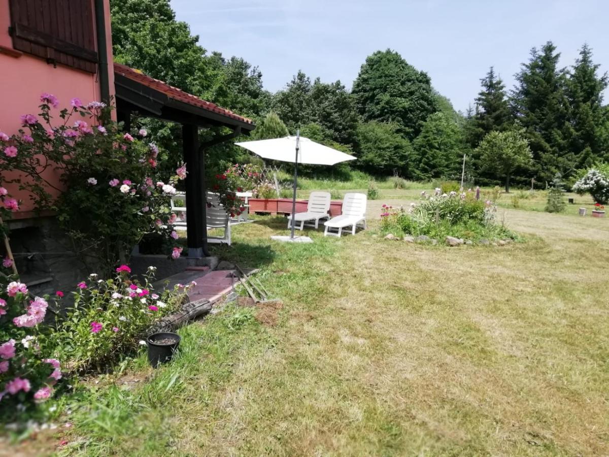 Il Pettirosso Di Giusvalla Buitenkant foto