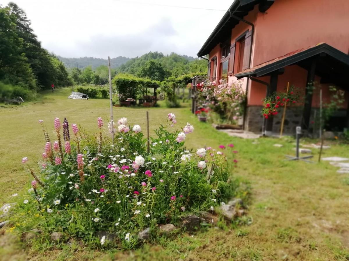 Il Pettirosso Di Giusvalla Buitenkant foto