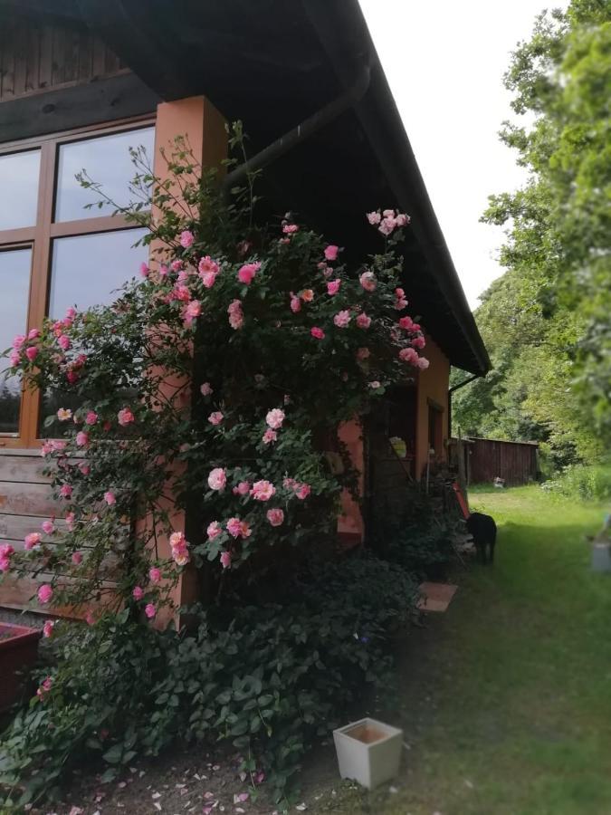 Il Pettirosso Di Giusvalla Buitenkant foto